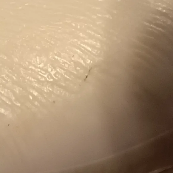 CollectA by Breyer Grey Arabian Mare - Picture 7 of 15